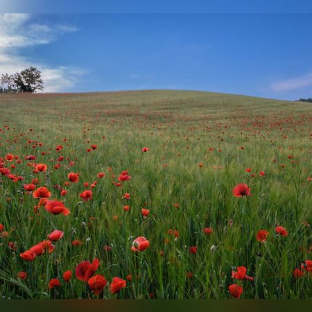 B&B Corte Delle Rose Castiglione Delle Stiviere Dış mekan fotoğraf