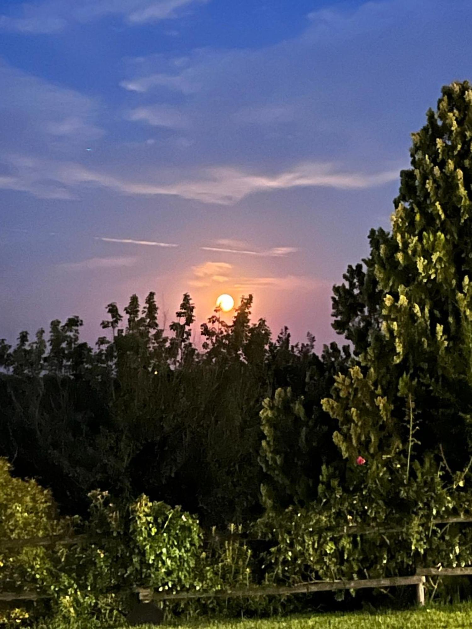 B&B Corte Delle Rose Castiglione Delle Stiviere Dış mekan fotoğraf
